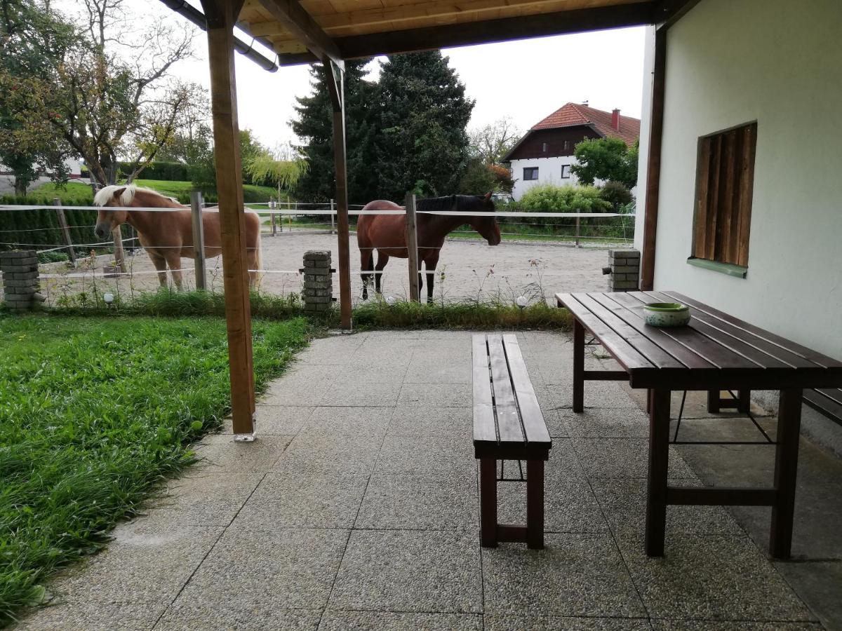 Ferienwohnung Schmied 1 Aurach am Hongar Exteriér fotografie
