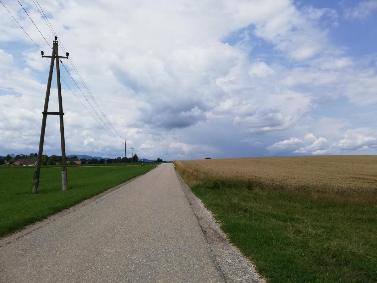 Ferienwohnung Schmied 1 Aurach am Hongar Exteriér fotografie